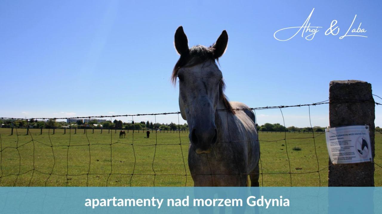 Laba - Basen, Blisko Plazy, Cisza, Taras, Parking, Bezplatne Wifi, Wyjatkowy! Apartment Gdynia Exterior photo